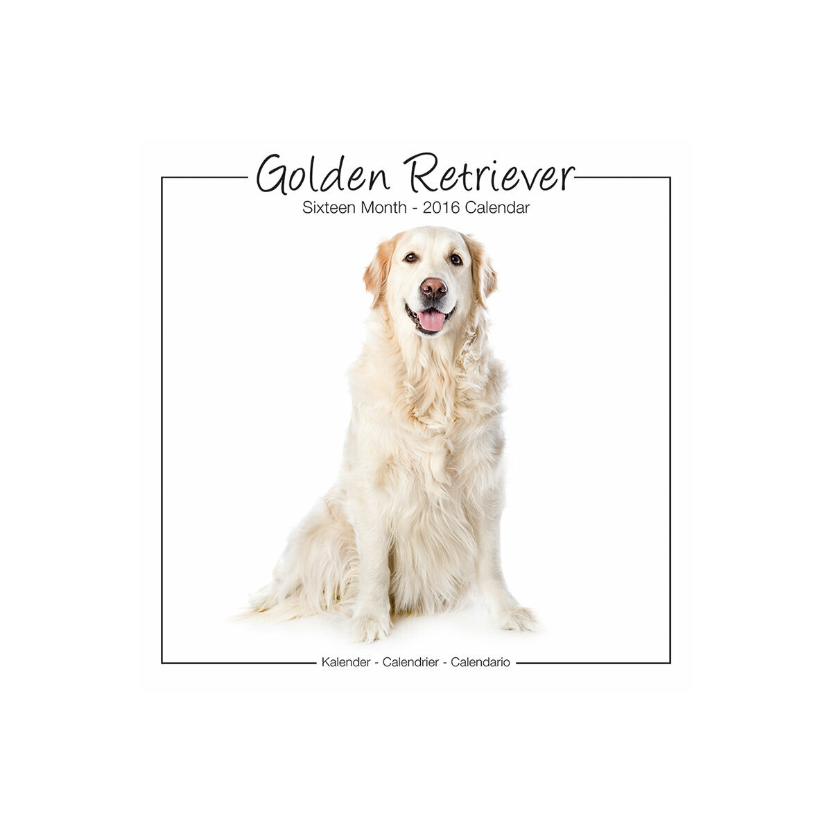 Calendrier Golden retriever 2016 Calendrier Golden retriever 2016