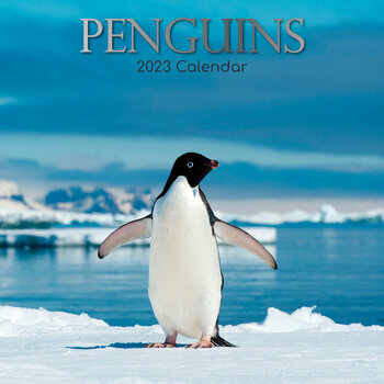 Calendrier 2023 Pingouin