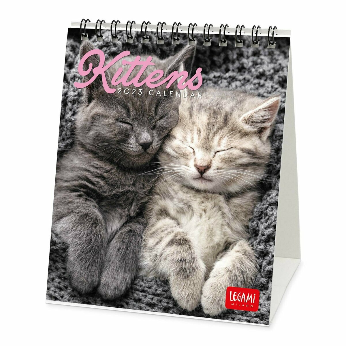 Calendrier Chevalet Chaton Hot Sex Picture
