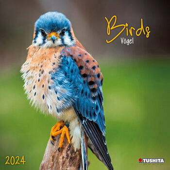Calendrier 2024 Oiseaux