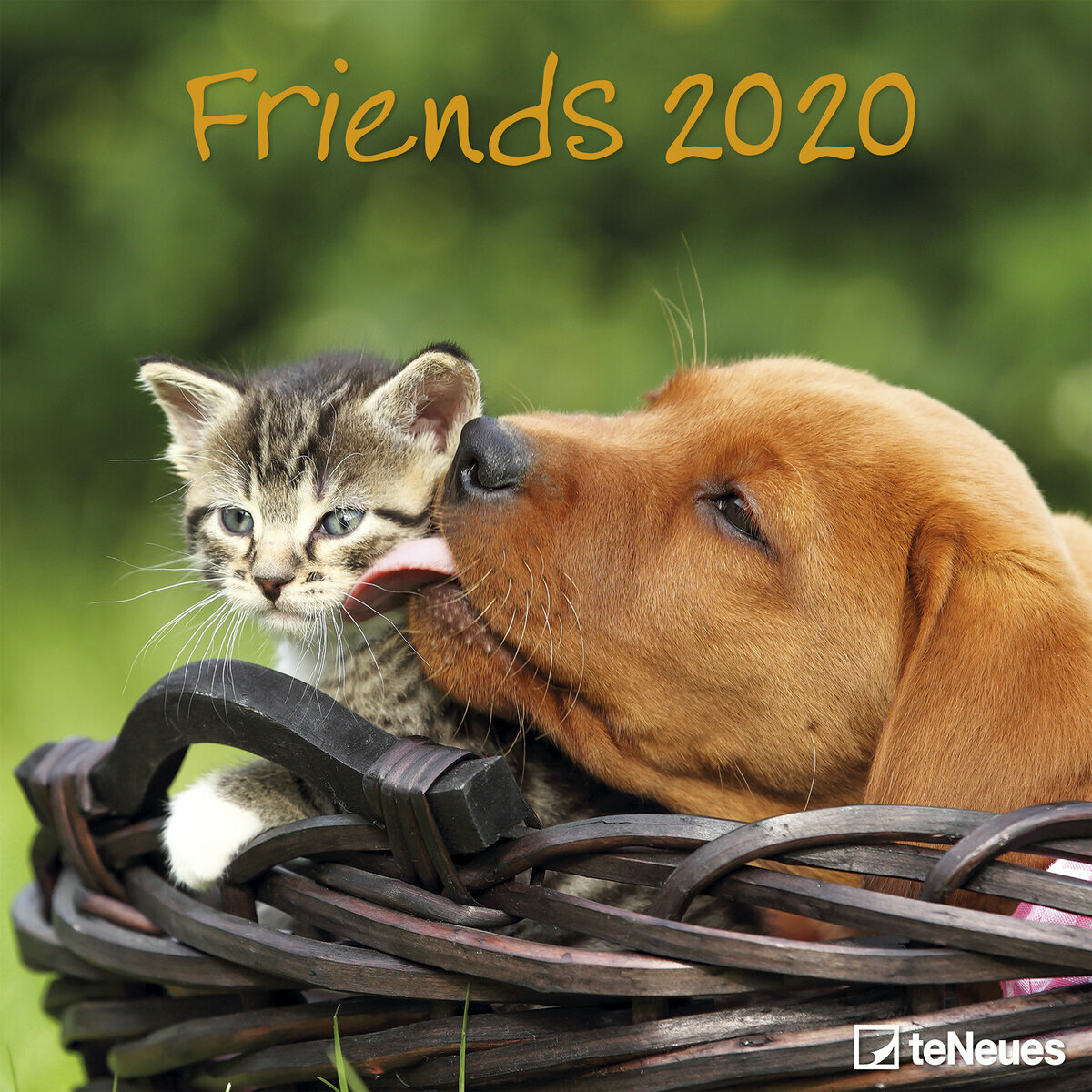 Calendrier 2020 Comme Chien Et Chat