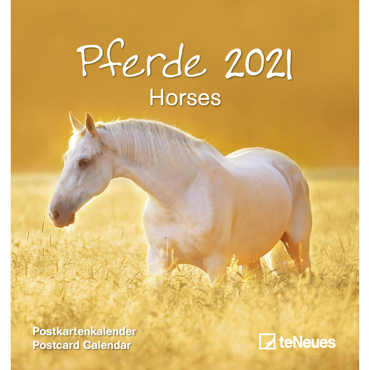 Calendrier 21 Carte Postale Detachable Chevaux