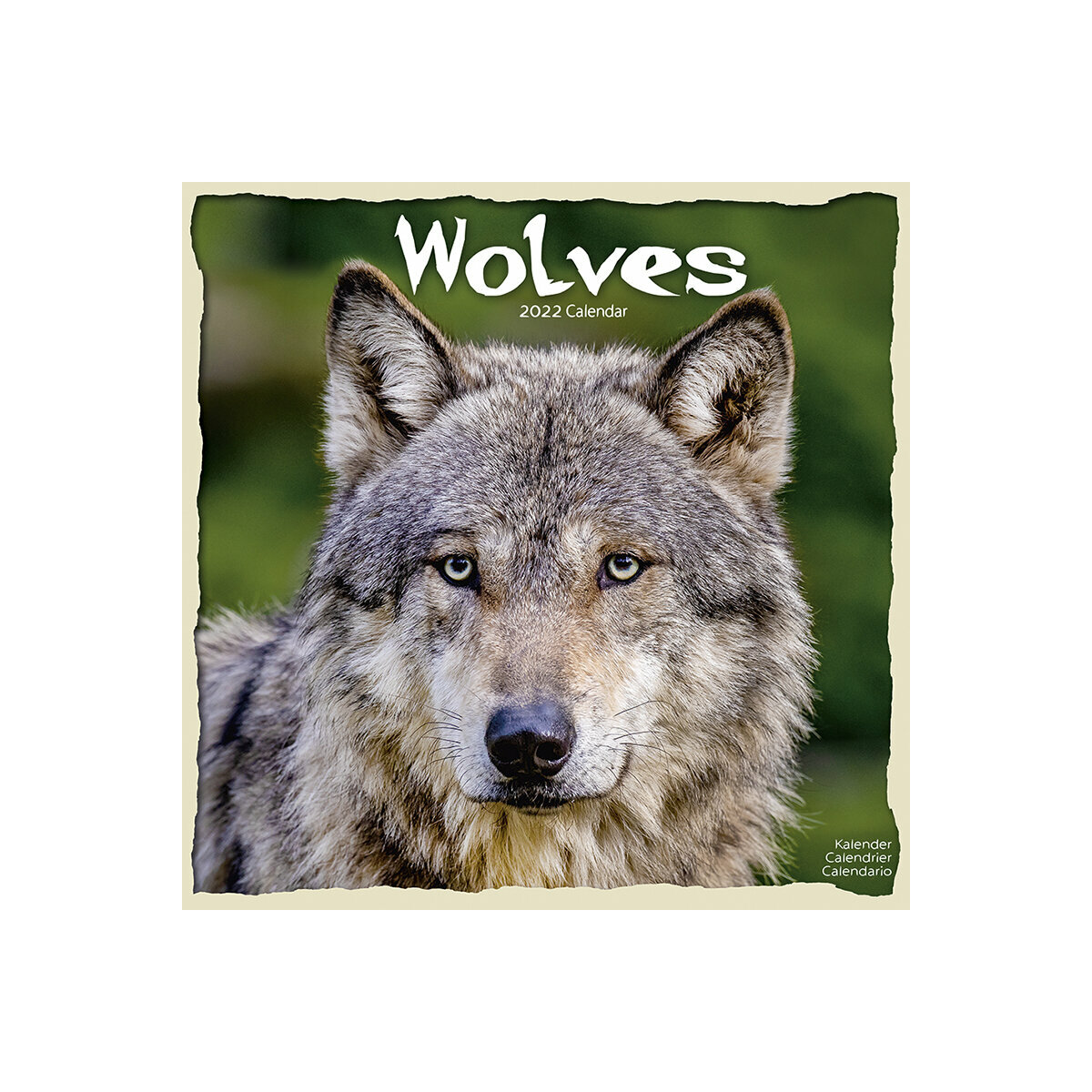 Calendrier Du Loup 2023 2024 Calendrier 2022 Loup