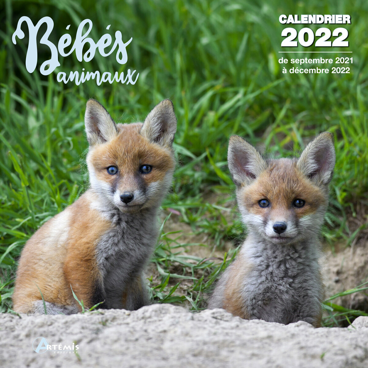 Calendrier 22 Bebe Animaux