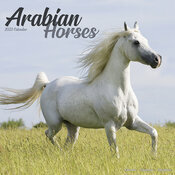 Calendrier 2022 - CHEVAUX ARABES