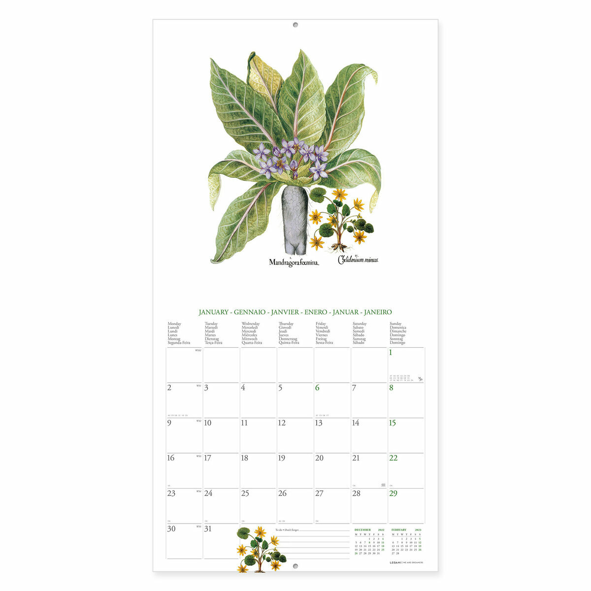 Calendriers Muraux - 2024- Herbarium-30X29 - Nature