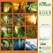 Calendrier De La Forêt Sombre, Comprend 12 Illustrations Originales,  Calendrier Mensuel 2024, Calendrier Mural Coloré De La Fée De L'eau Pour La