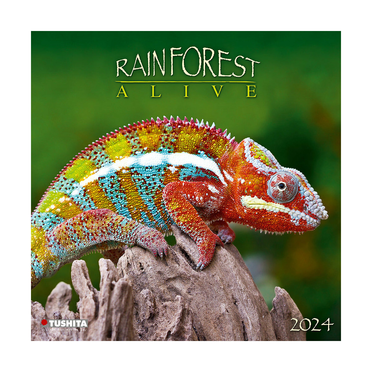 Calendrier 2024 Animaux de la forêt tropicale