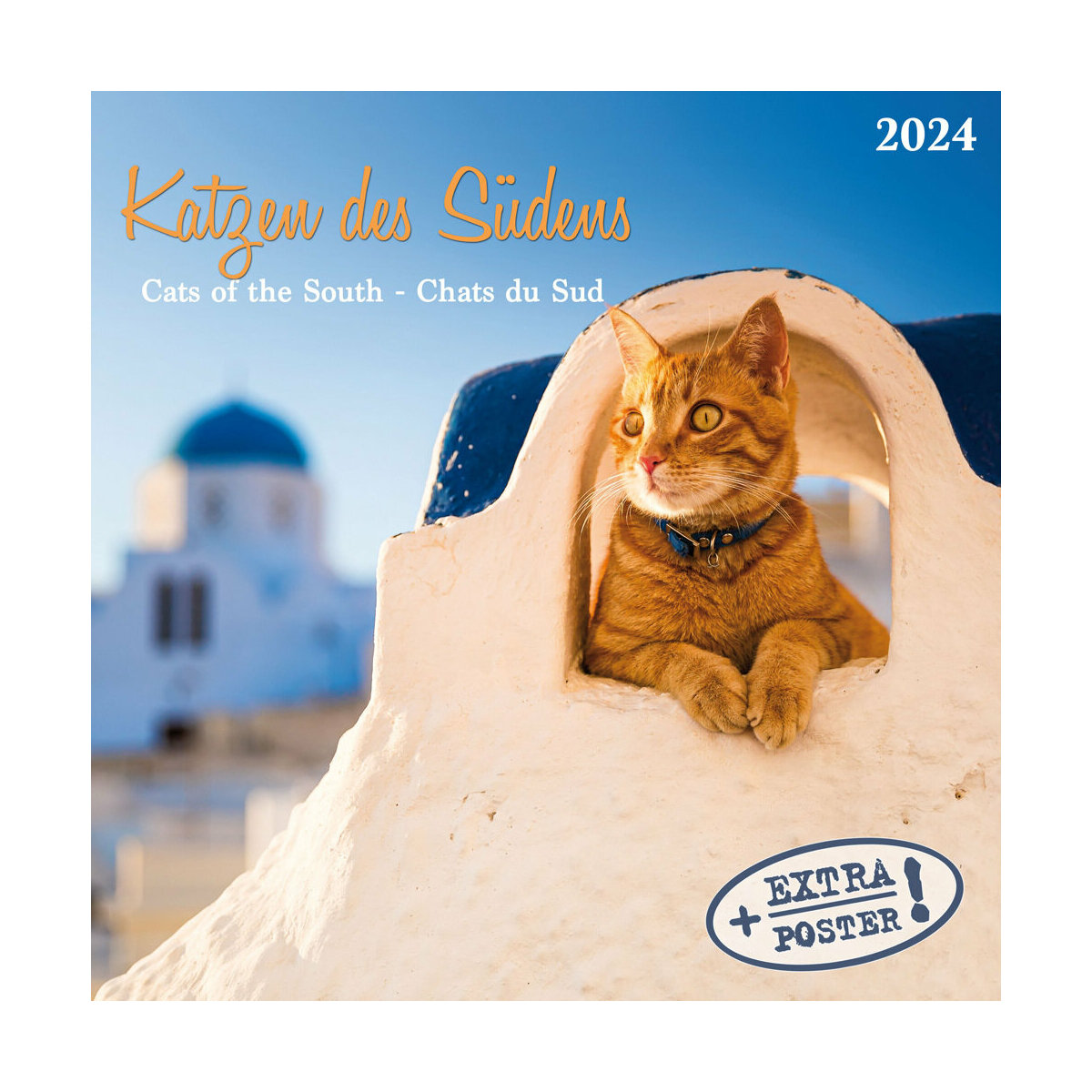 Calendrier Magnifique 2024 - Calendrier Magnifique Tunisia