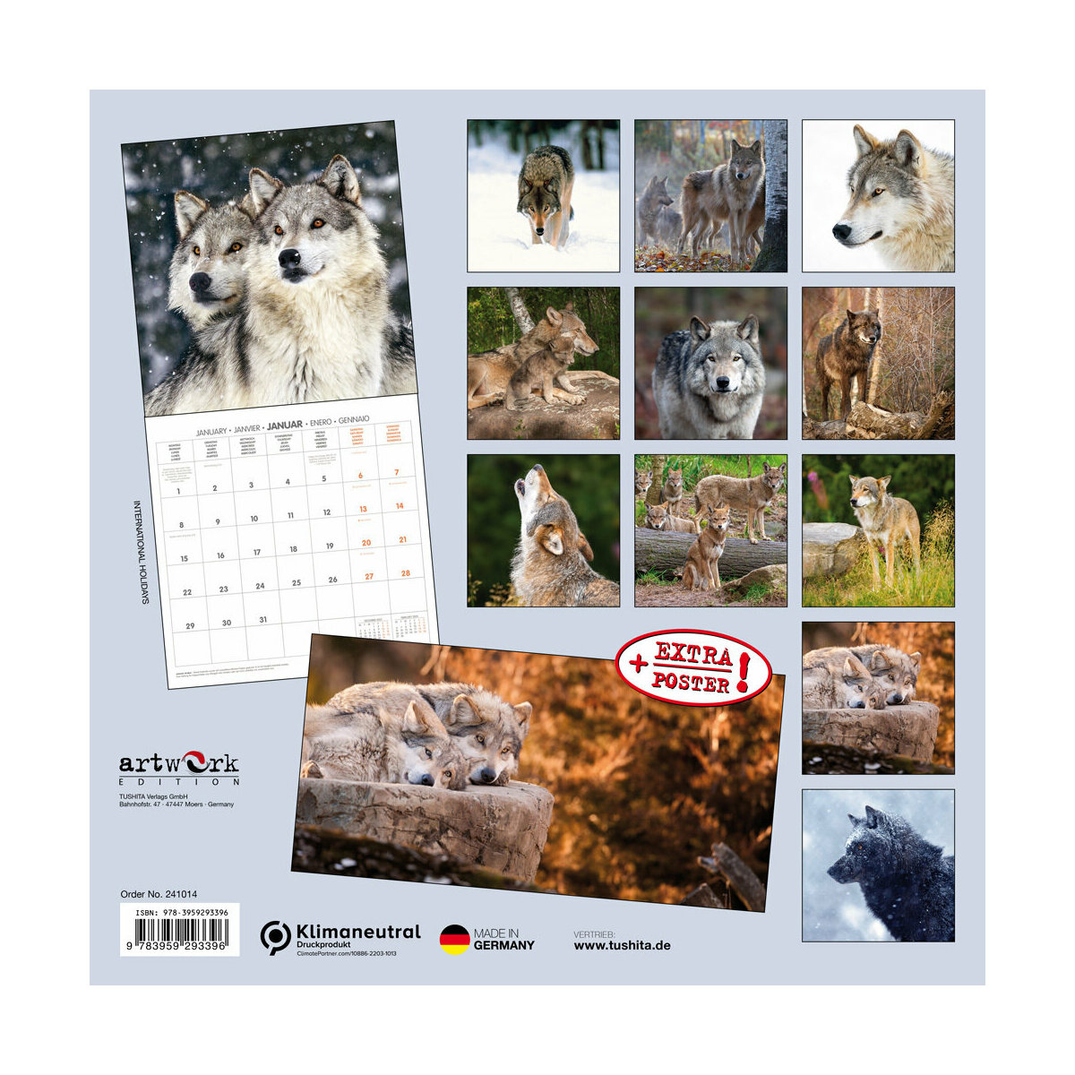 Calendrier Mural Loups 2024, 16 Mois