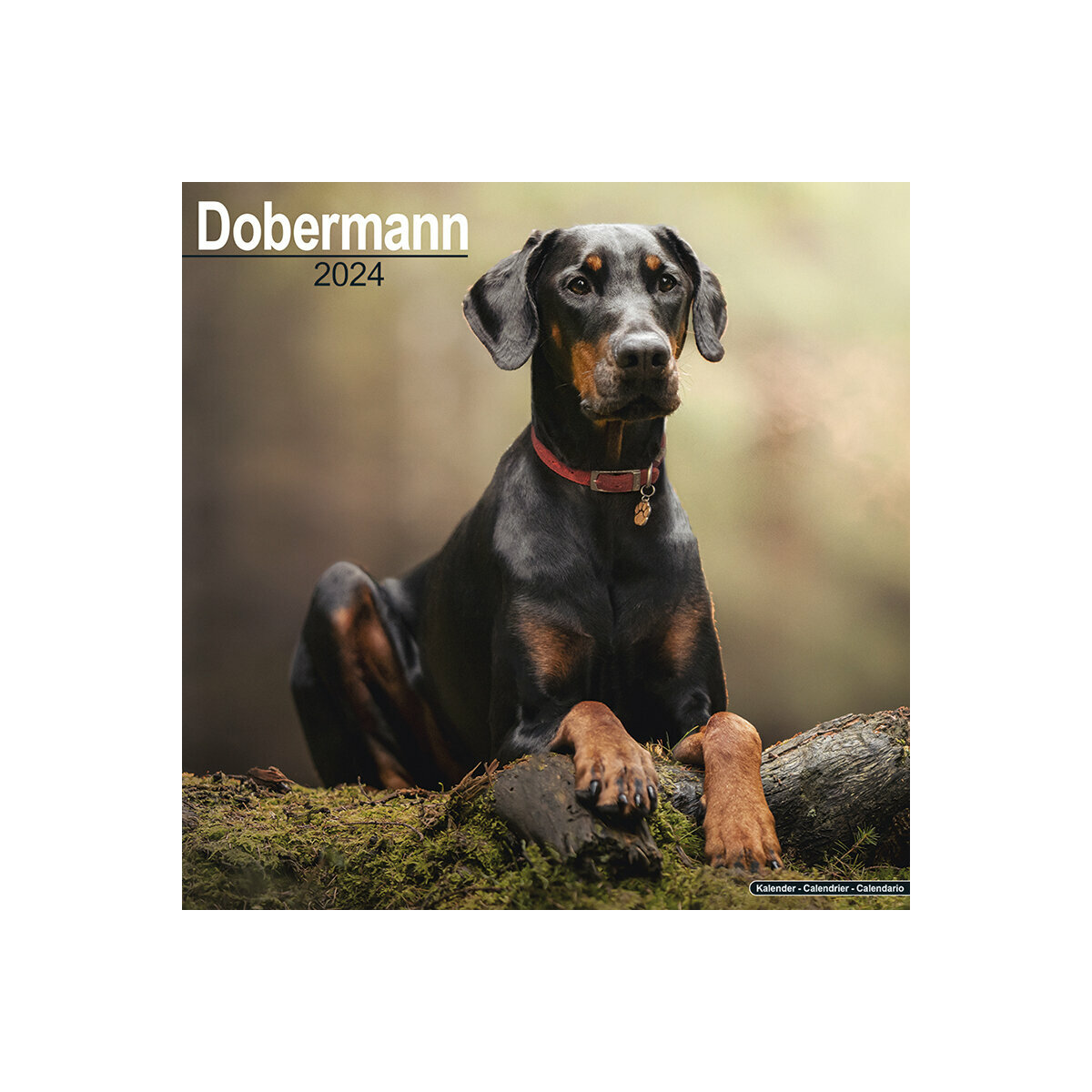 Doberman : Commandez Votre Plaque Attention au Chien