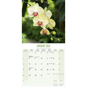 Regards Naturalistes Photographies - Calendrier 2024 les orchidées