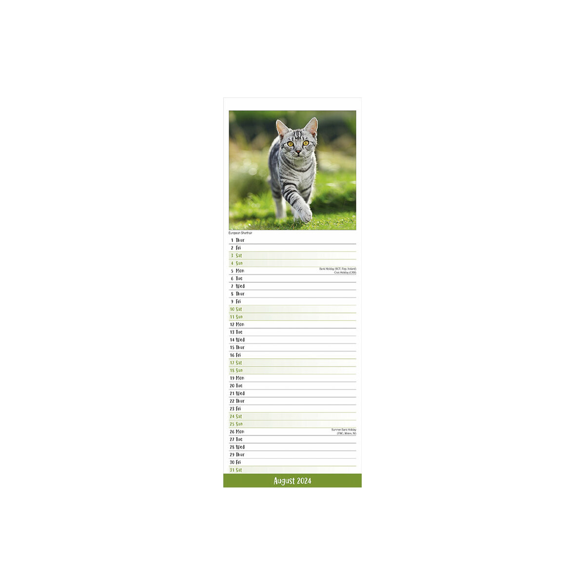 Acheter Le calendrier de la vie d'un chat 2024 ? Facile et rapide à  commander en ligne 