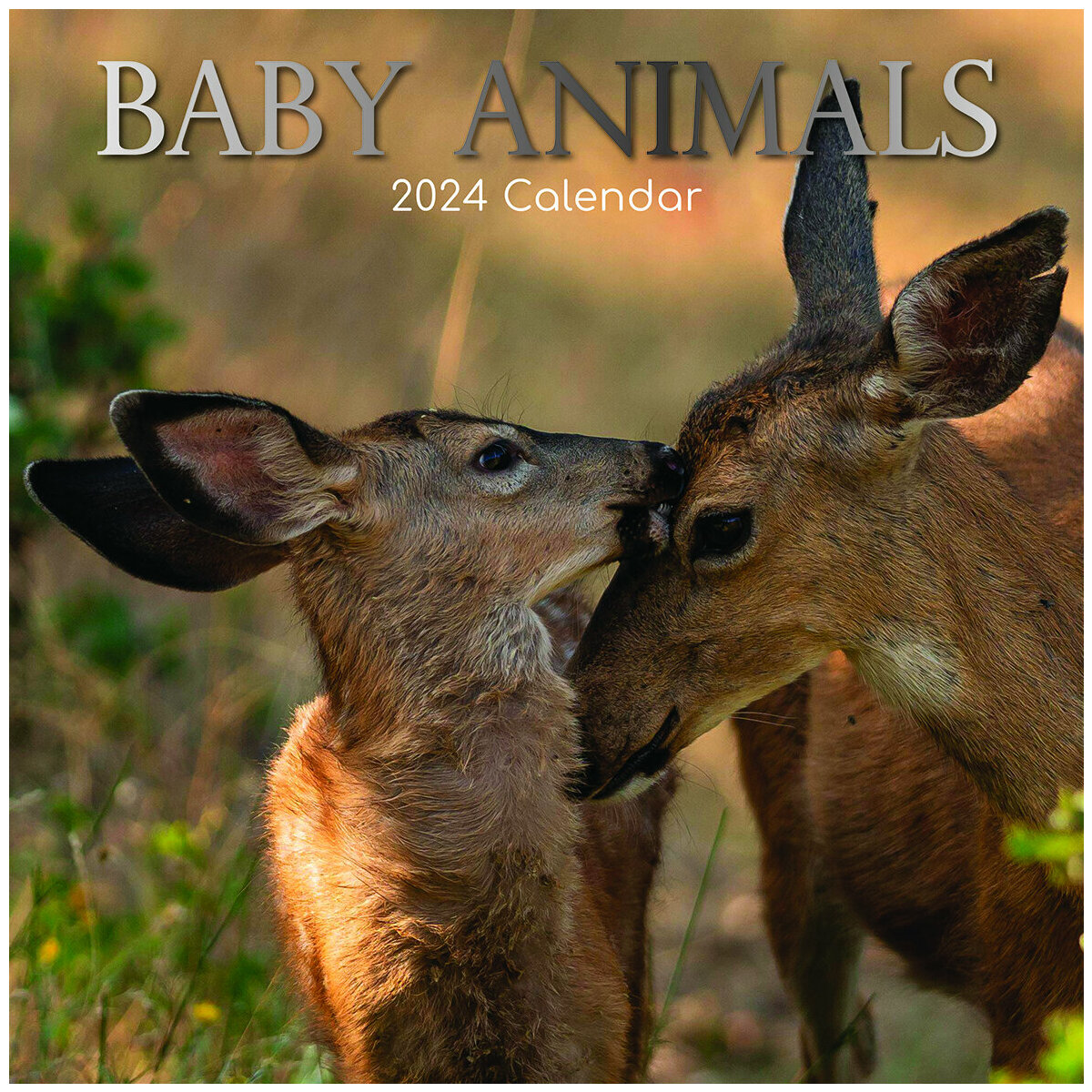 Calendrier 2024 Bébés animaux 30x30cm