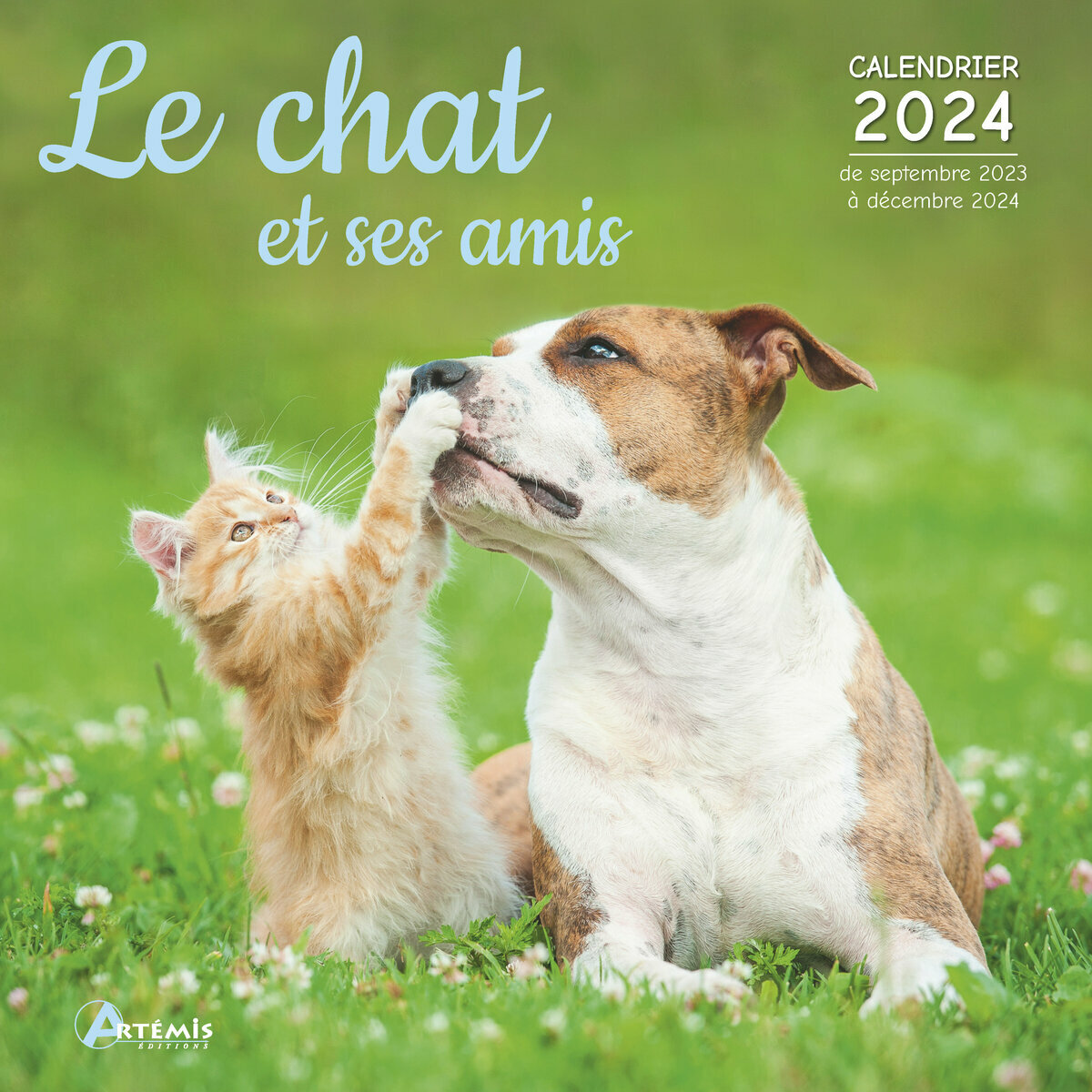 Nouveau Calendrier 2024 Sur Le Thème Du Chat En Colère, Calendrier