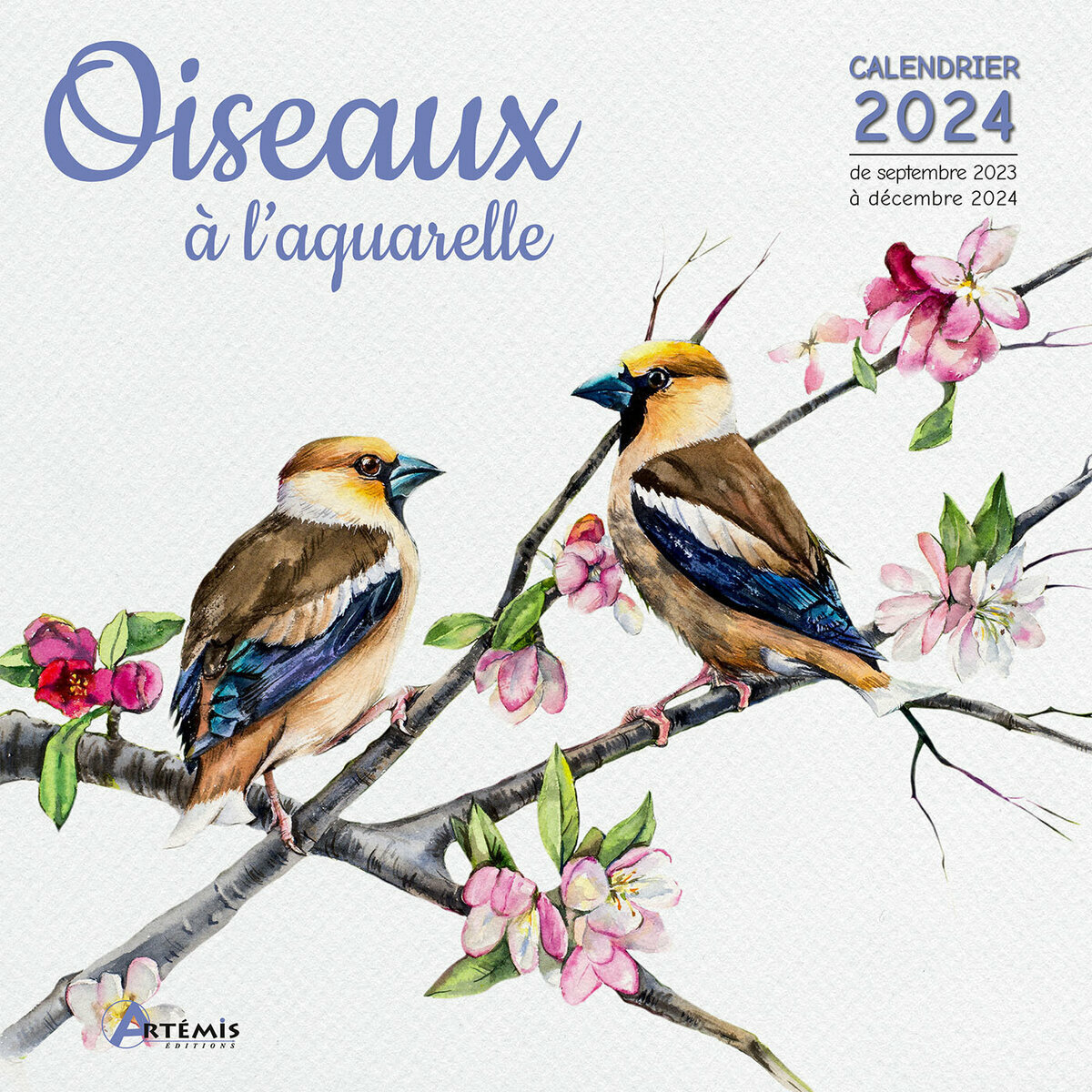 Calendrier des oiseaux du Québec 2024