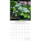 Calendrier 2024 Jardin Japonais (Ts) Asie Zen Bonsai + Offert Un Agenda De  Poche[H1401] - Cdiscount Beaux-Arts et Loisirs créatifs