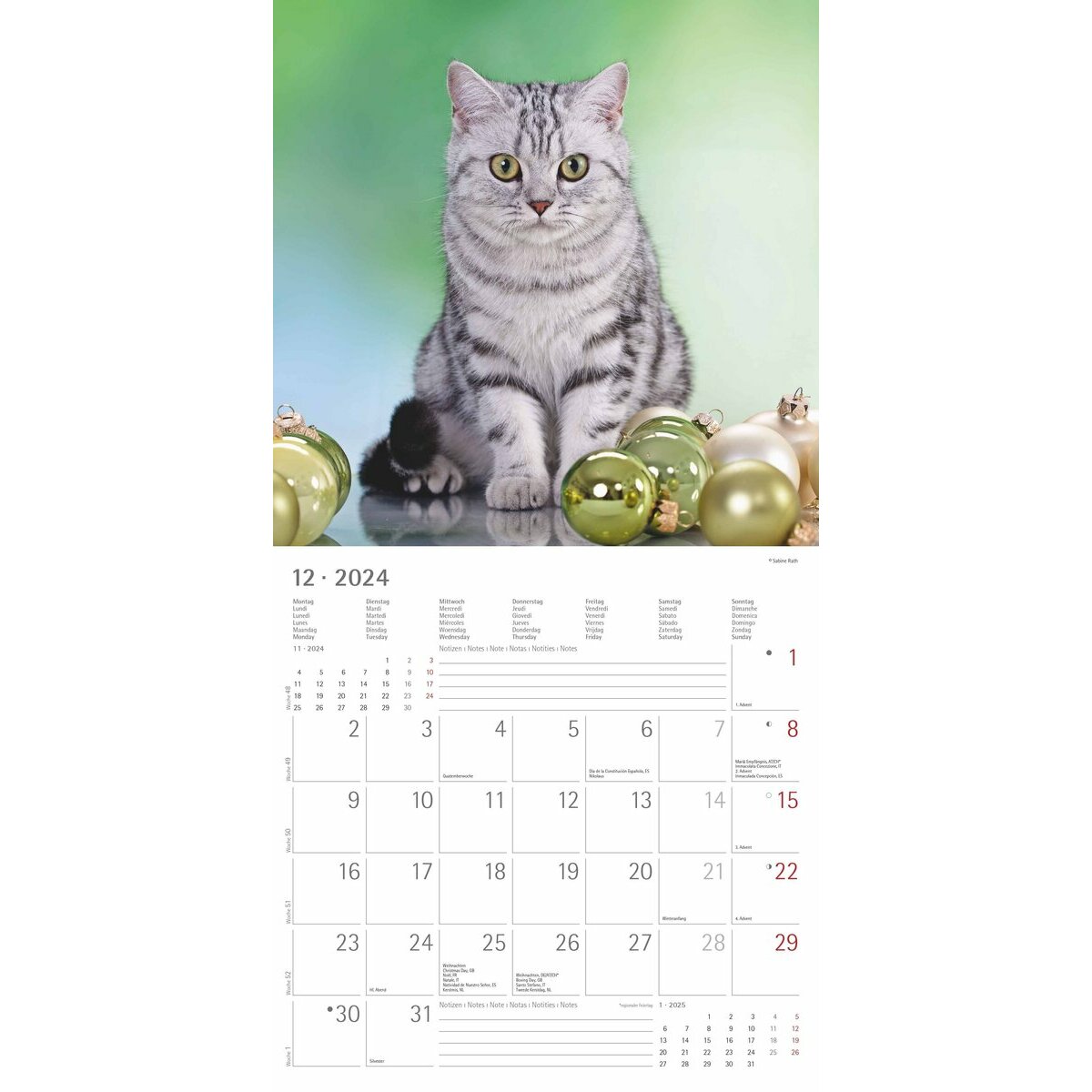 Calendrier mural chat 2024, calendrier chat, calendrier 2024