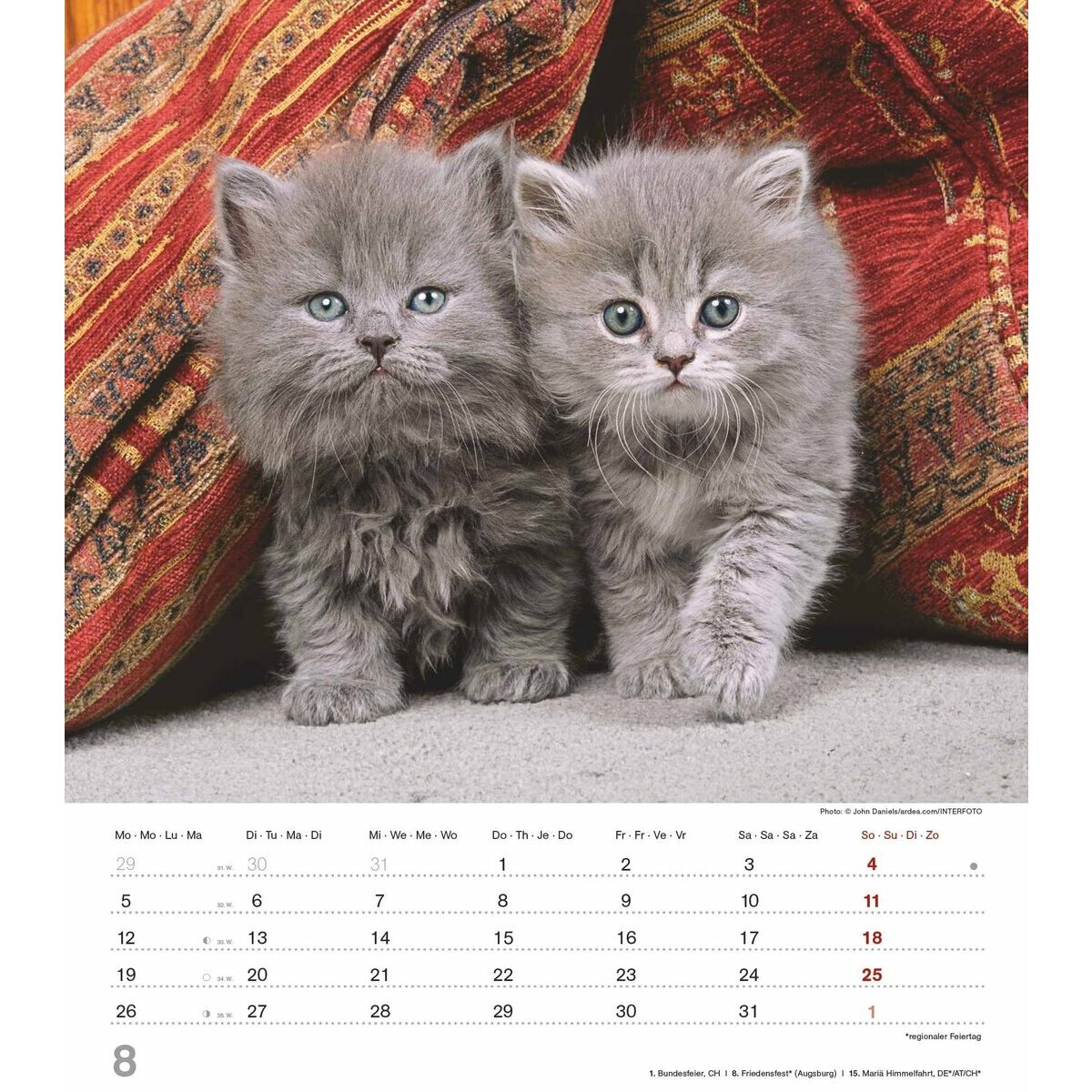 Calendrier mural 2024 Chats