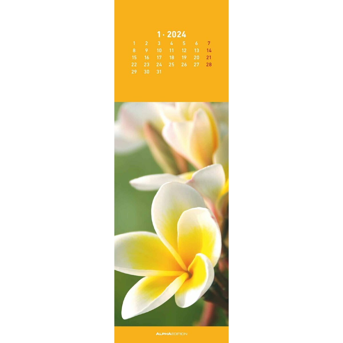 Calendrier marque-page 2024 Zen, 1 mois / page 