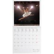 Le calendrier 2024 des BA ! – Les Balletomanes Anonymes