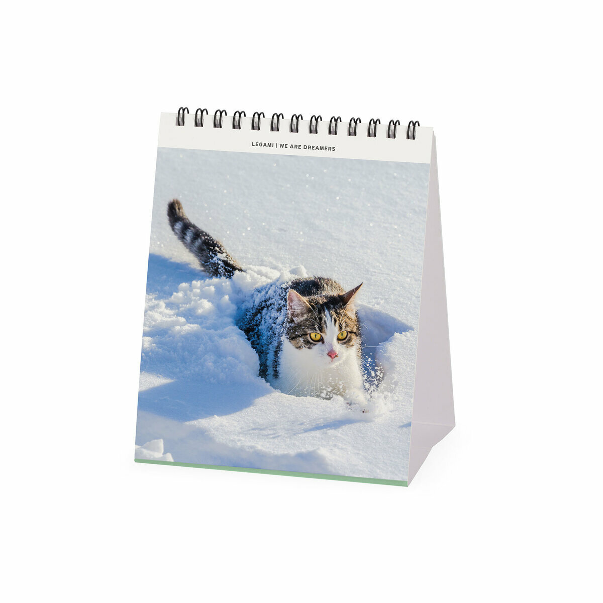 Calendrier Chevalet (S) 2024 - Chats - MIDORI