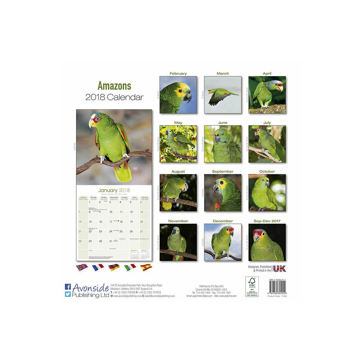 calendrier amazone perroquet 2018