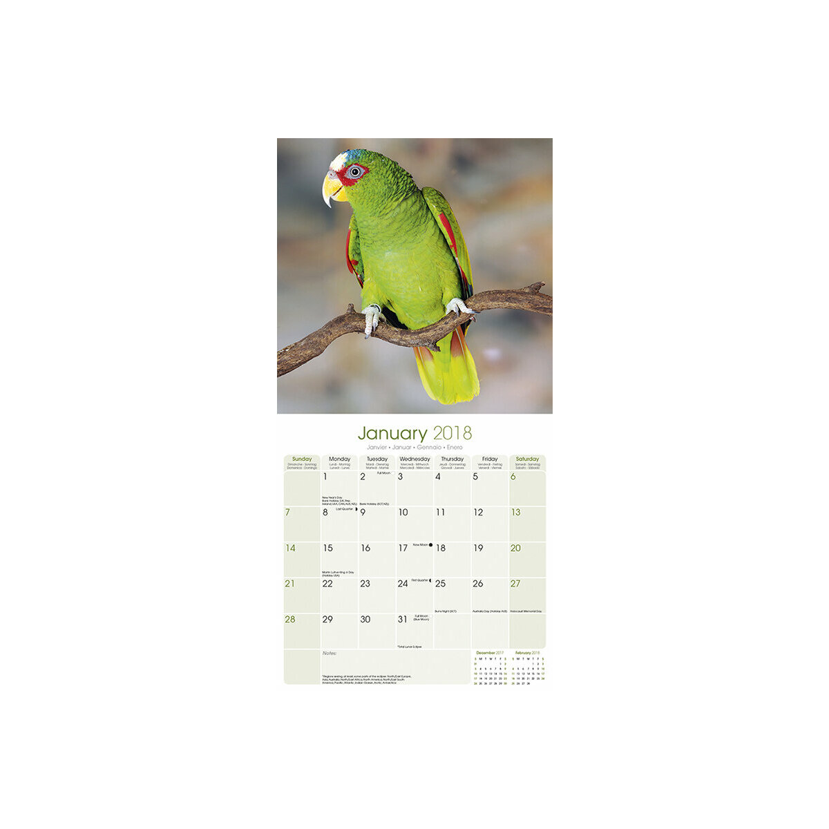 calendrier amazone perroquet 2018