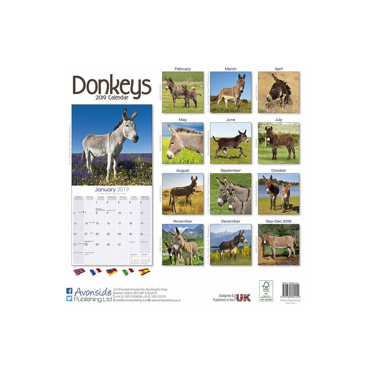 Calendrier 2019 Ane