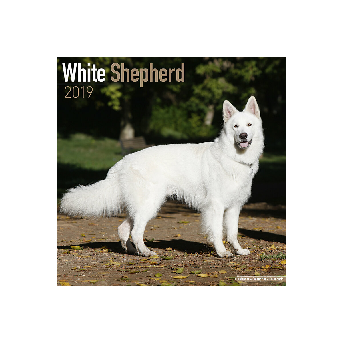 Calendrier 2019 Berger Blanc Suisse