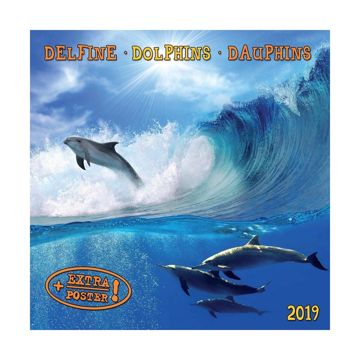 Calendrier 2019 Dauphin avec poster offert