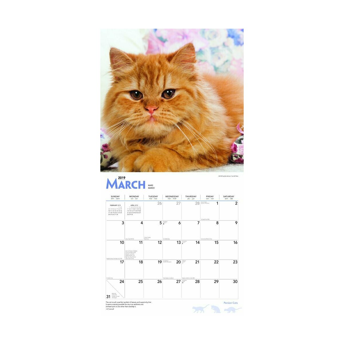 calendrier chat persan 2019