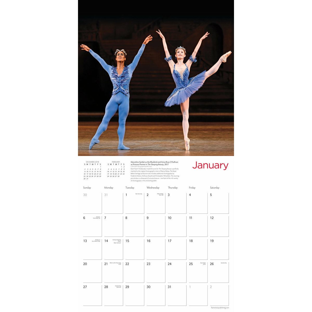 Calendrier 2019 Ballet de Danse - royal