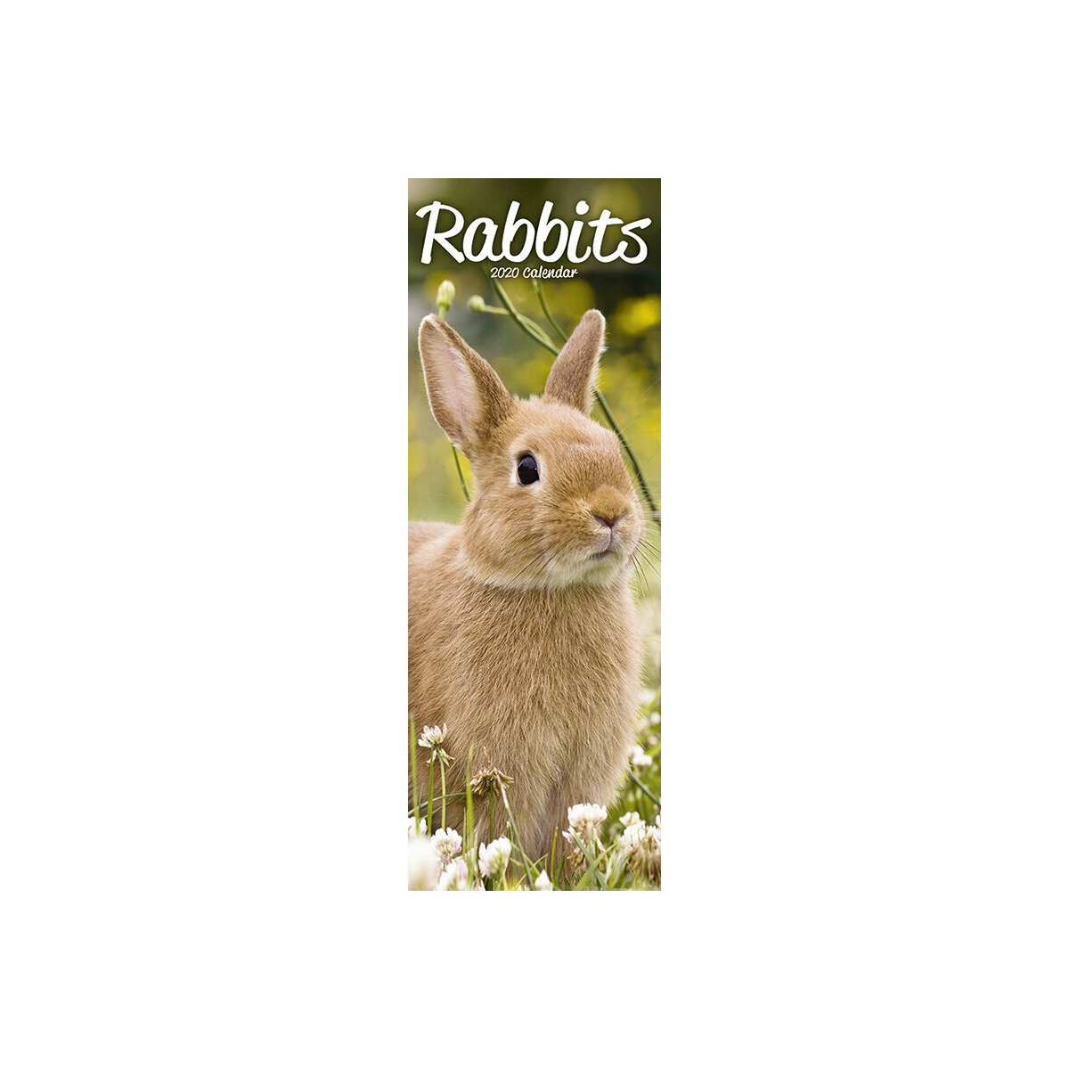 calendrier Lapin slim 2020