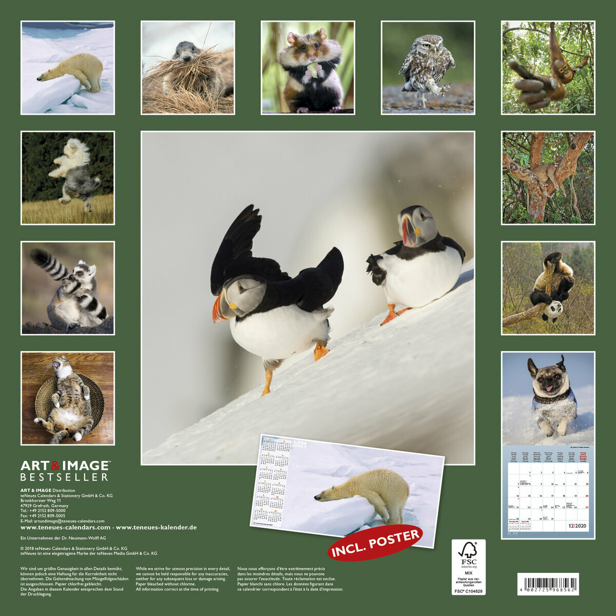 Calendrier 2020 Animaux coquin avec poster offert