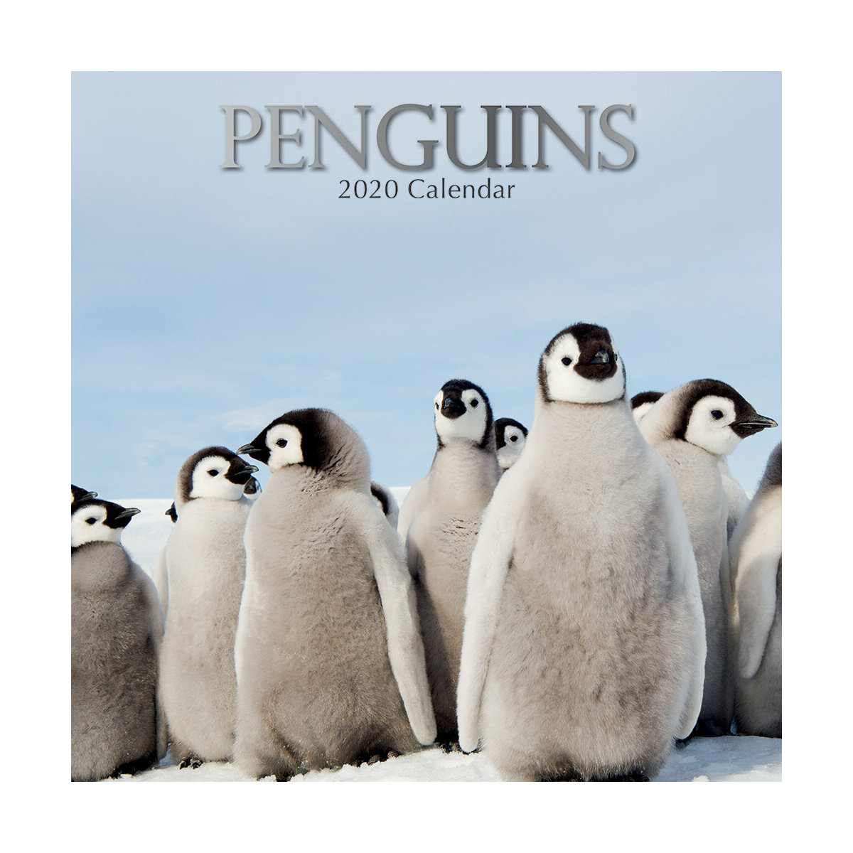Calendrier 2020 Pingouin