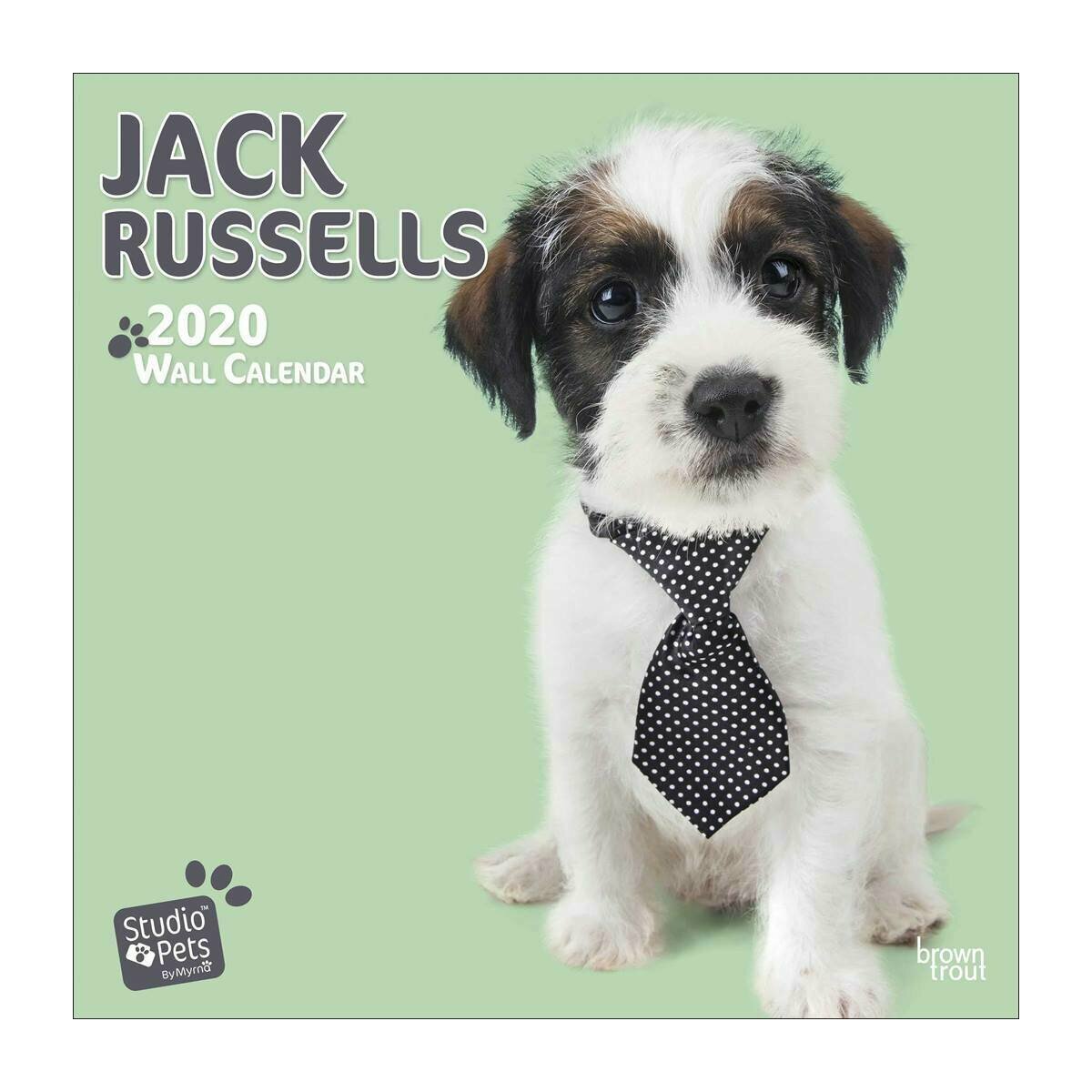 Calendrier 2020 Jack russell