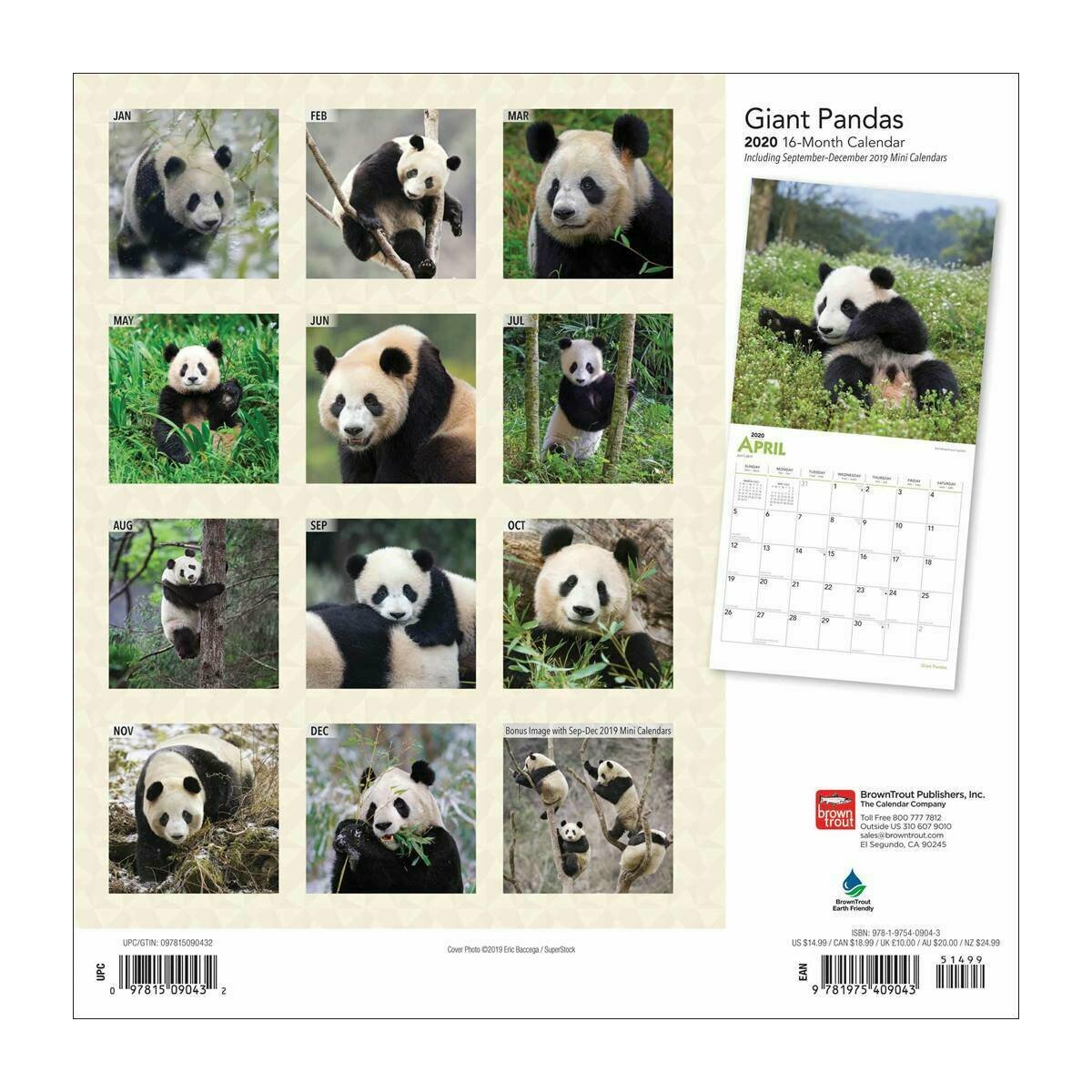 calendrier 2020 panda