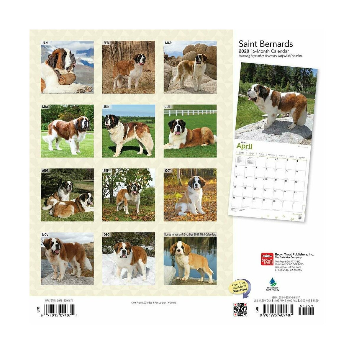 calendrier 2020 Saint Bernard