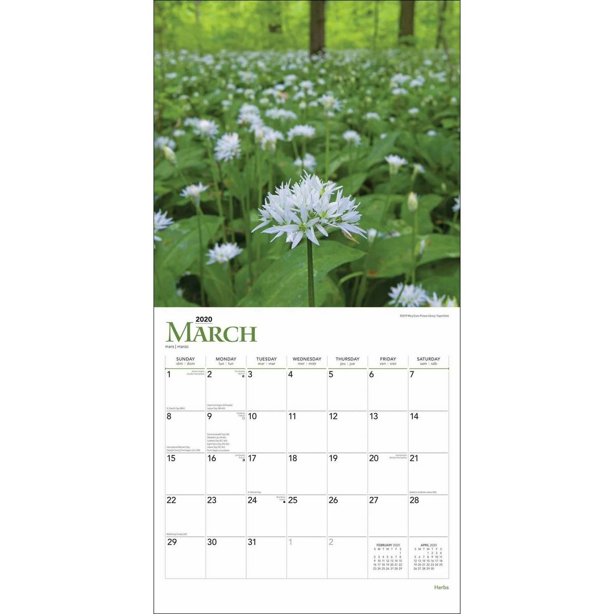 calendrier Herbes aromatiques 2020