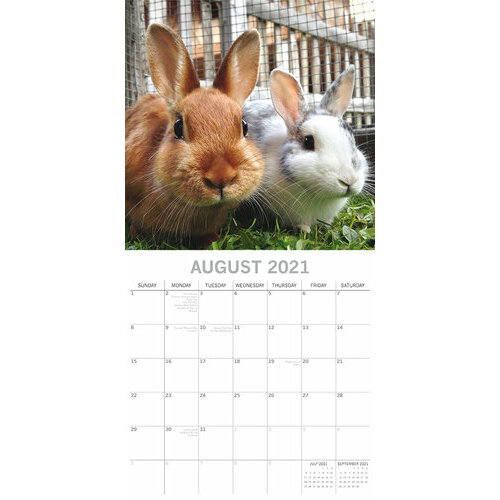 Calendrier 21 Lapin Mignon