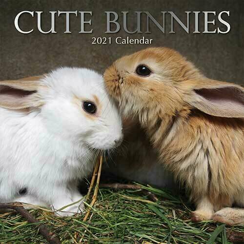 Calendrier 21 Lapin Mignon