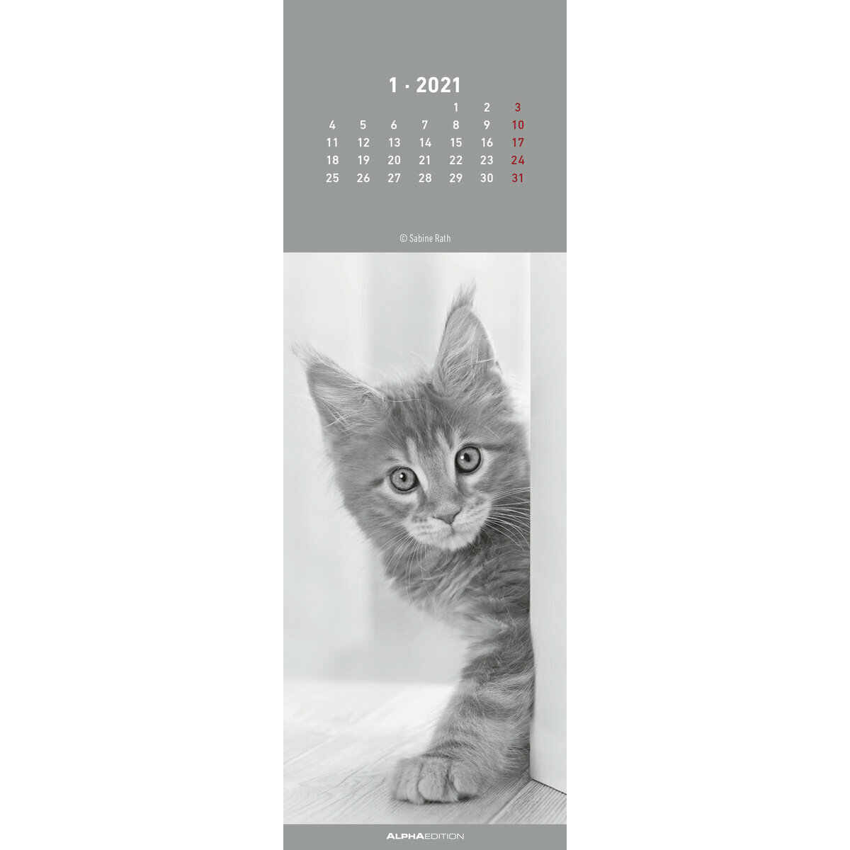 Calendrier Marque page chat 2021