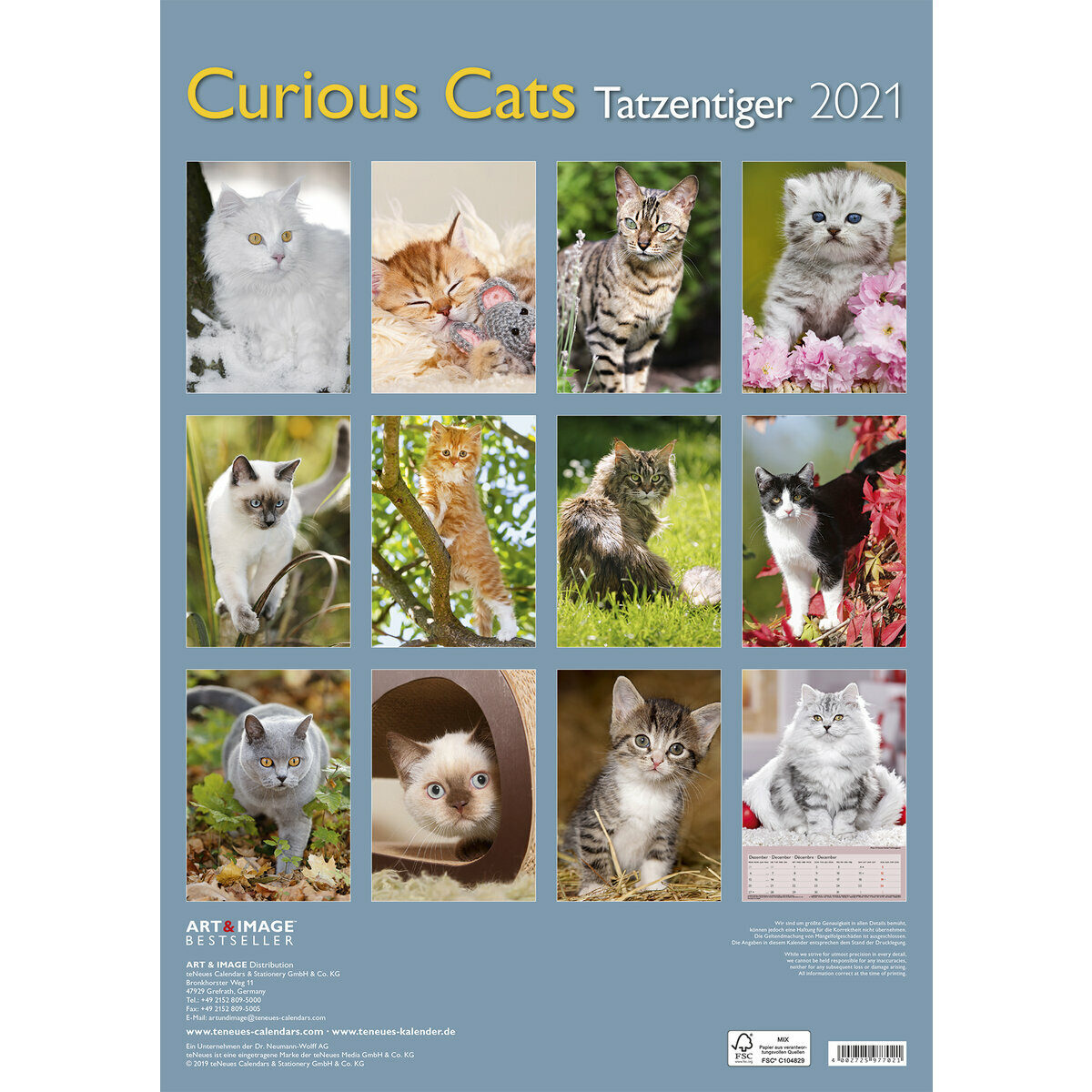 Maxi Calendrier 21 Chat Curieux
