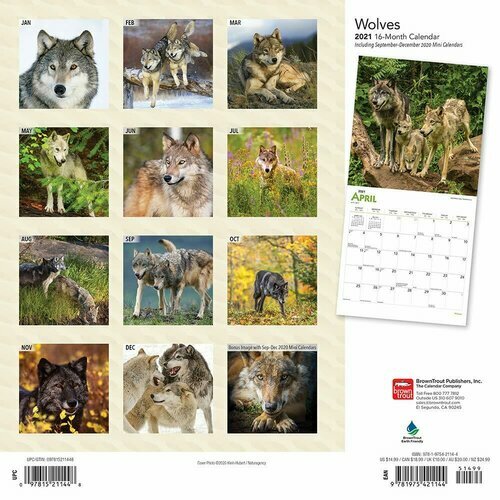 calendrier 2021 loup