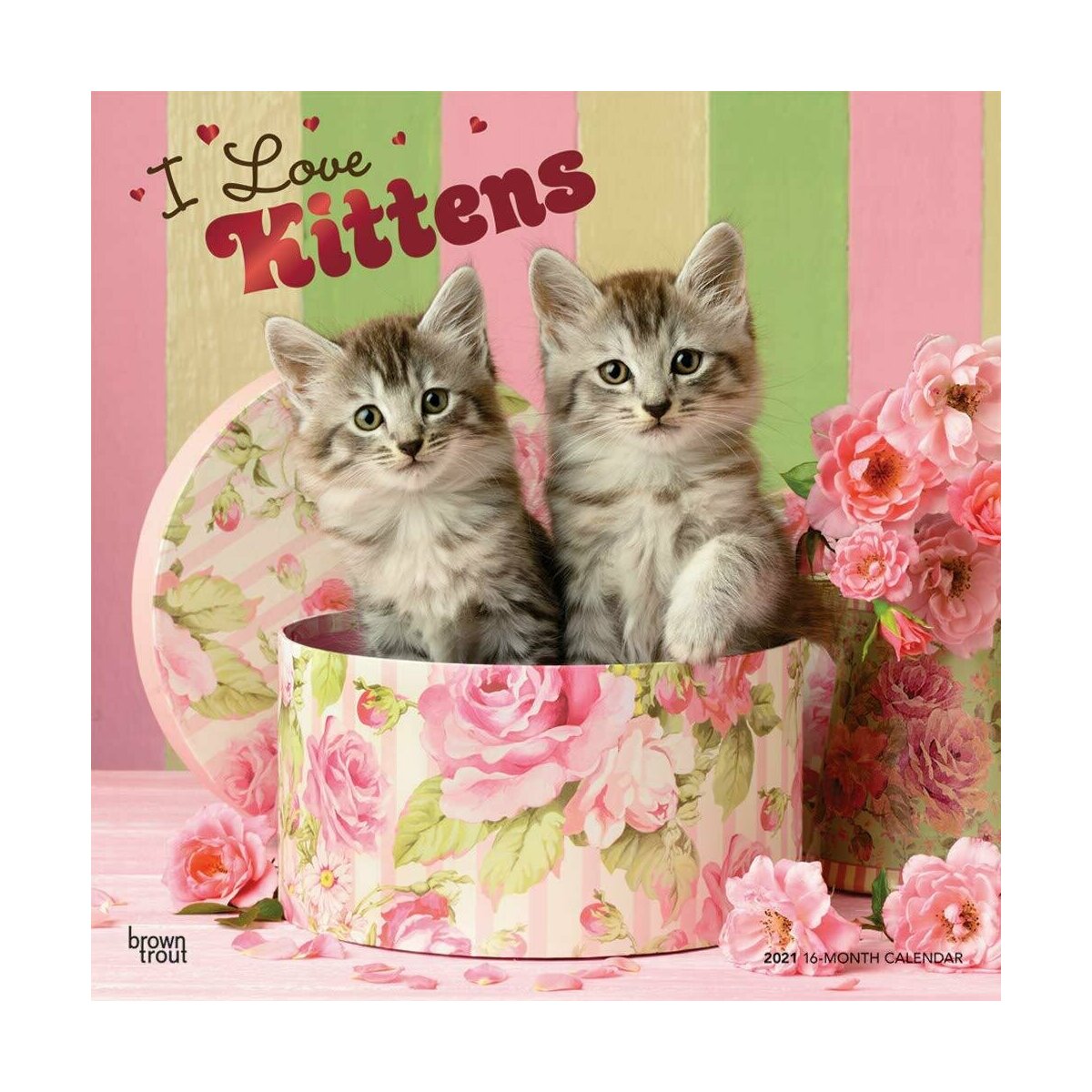 Calendrier Chaton 21