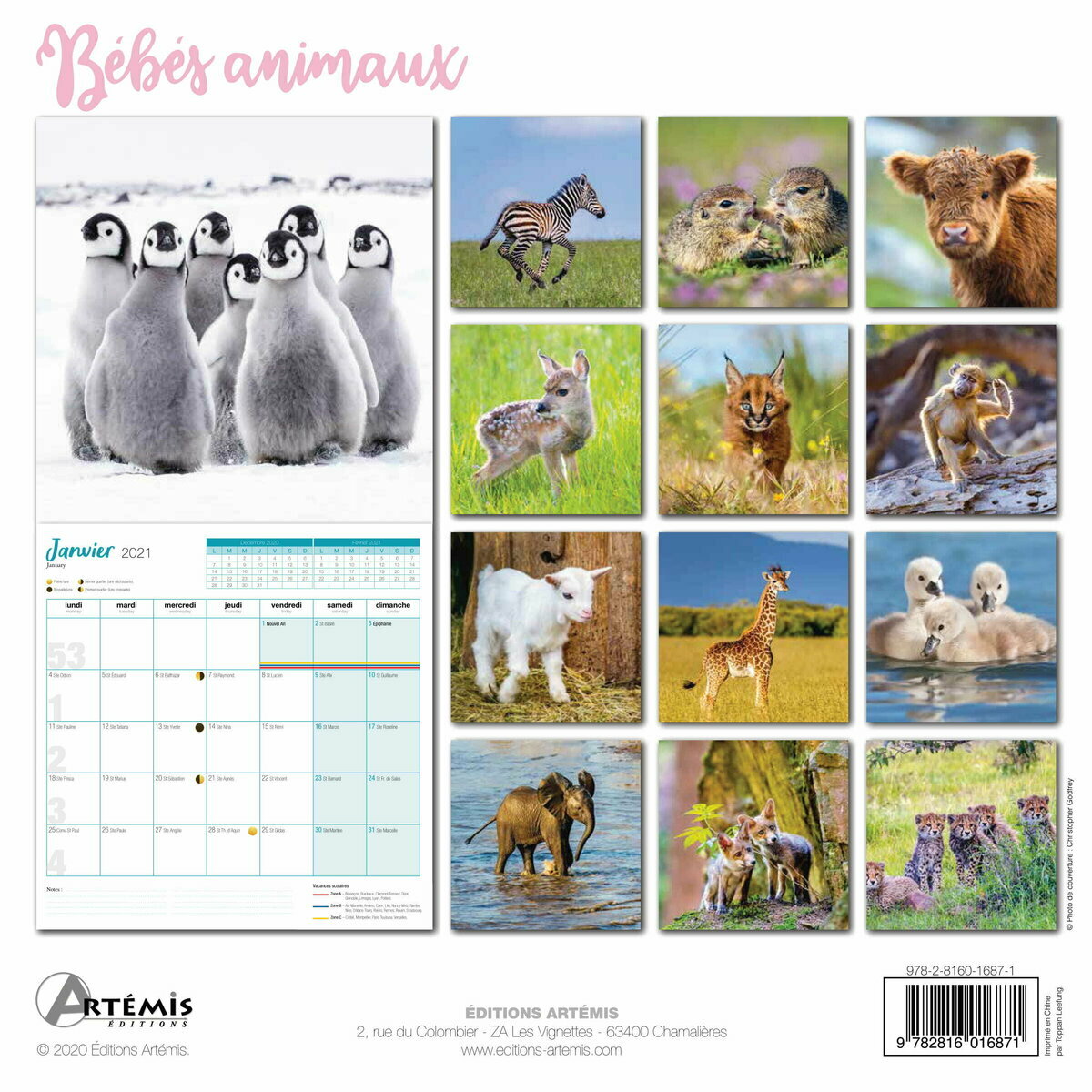 Fournitures De Bureau Calendriers Muraux Mant Vn Chiot Offert Un Agenda De Poche Chouette Bebe Chat Animaux De La Ferme Chevaux Calendrier 21 Bebe Animaux Amis Mouton Avec Maxi Poster 30x60cm