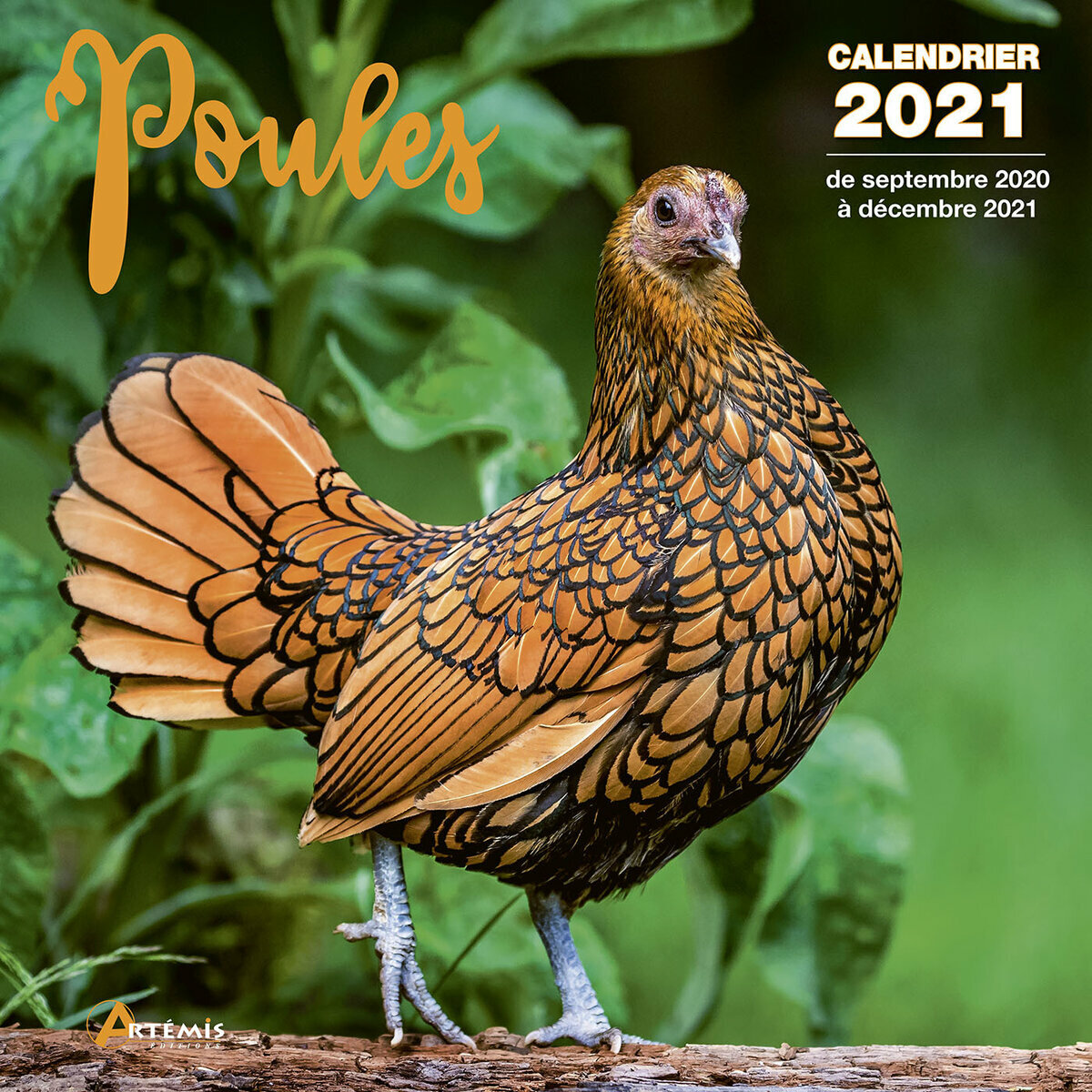 Calendrier 2021 Poule