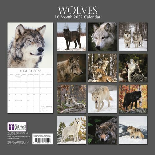Calendrier Du Loup 2023 2024 Calendrier 2022 Loup