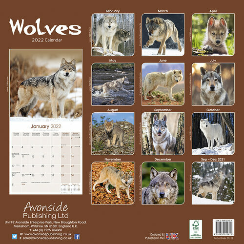Calendrier Du Loup 2023 2024 Calendrier 2022 Loup